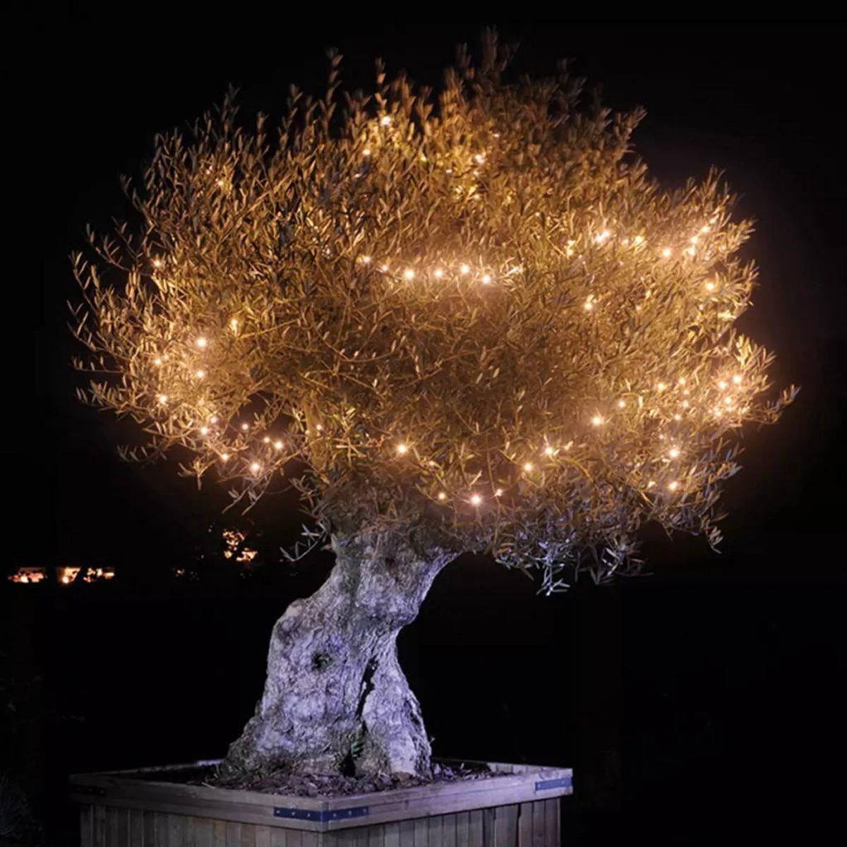 Garden Lights LED Linea 1 - Afbeelding 2