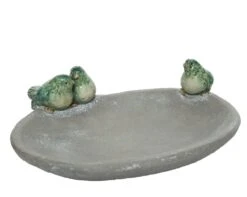 Vogelbad Schaal Met Vogels