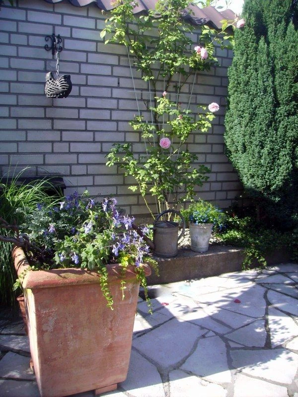 Nature Klimplantrek V-Vorm Metaal Verzinkt 145x5/75cm - Afbeelding 2