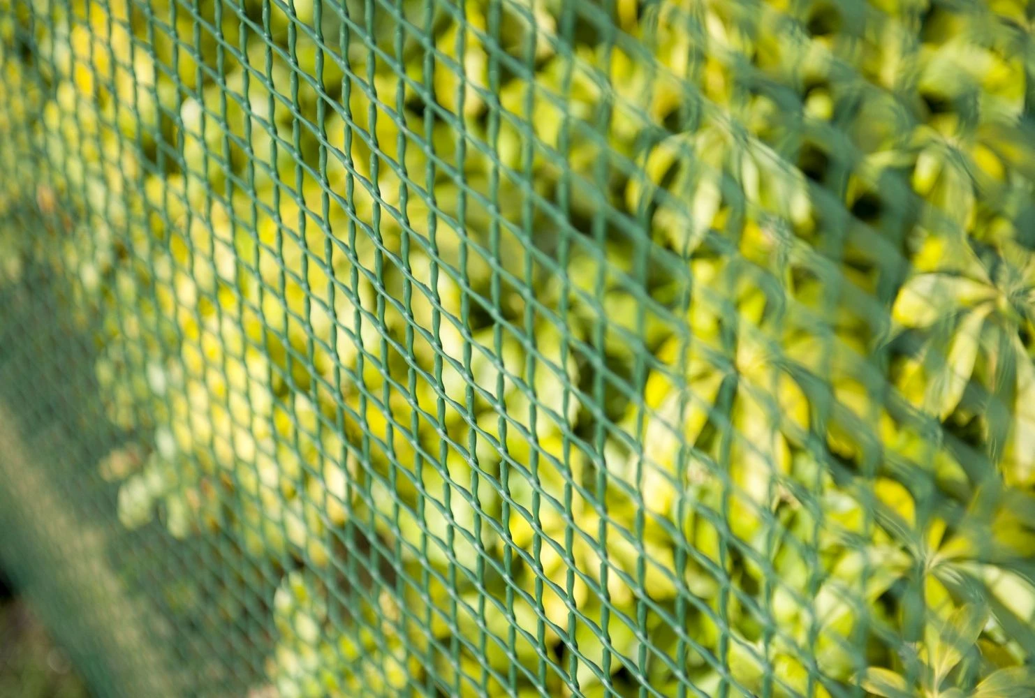 Nature Vierkant Schermgaas Groen 10x10mm - 1x3m - Afbeelding 2